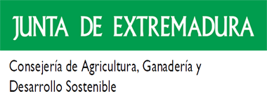 JUNTA DE EXTREMADURA